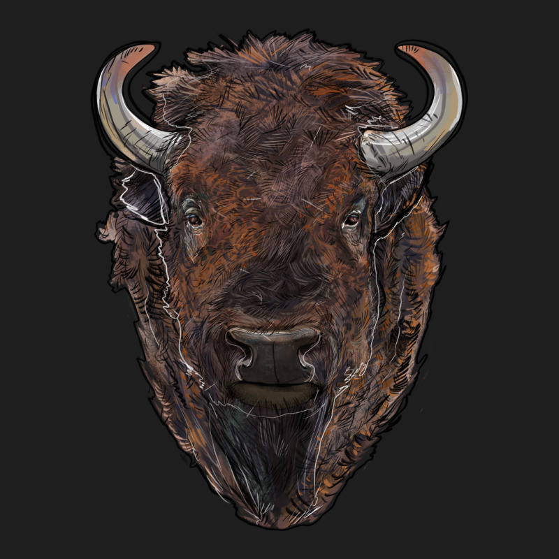 American Bison Heavyweight Hoodie by RanaPortraitStore | Teevron