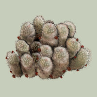 Brown Flowered Cactus Long Sleeve Tee | Teevron