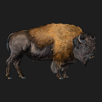 American Bison Body Heavyweight Hoodie | Teevron
