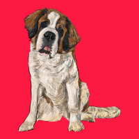 Saint Bernard Zipper Hoodie | Teevron