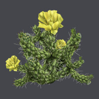 Whipple Cholla Cactus Long Sleeve Tee | Teevron