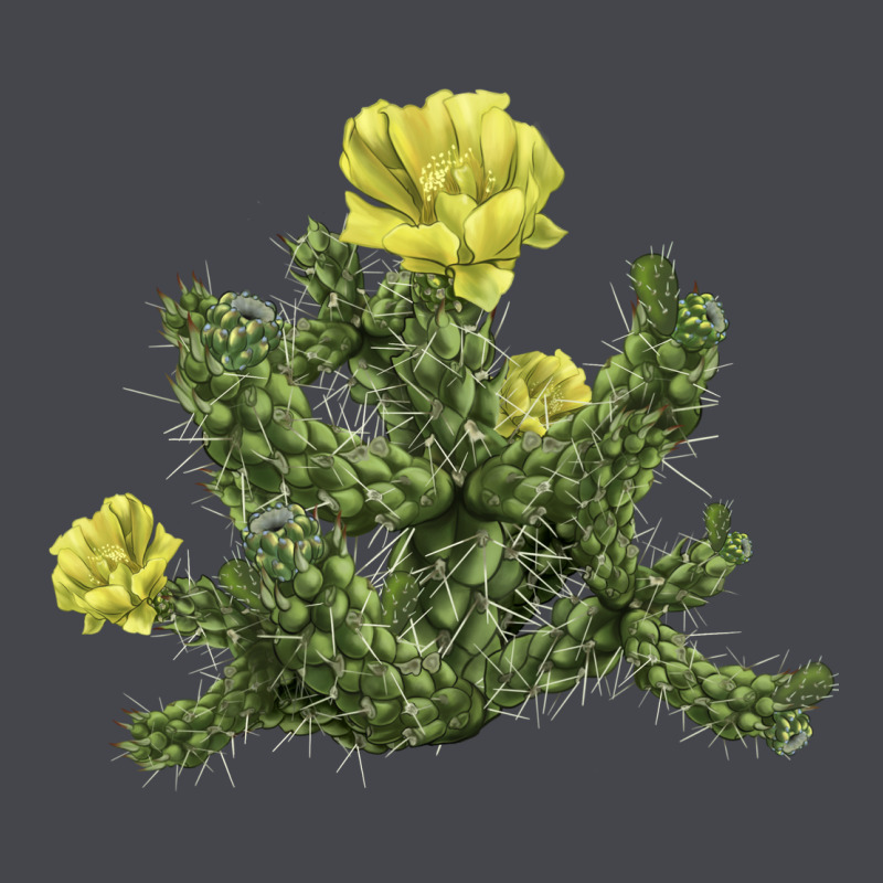 Whipple Cholla Cactus Long Sleeve Tee by LillyAllenDesigns | Teevron