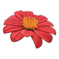 del sol sunflower | Teevron