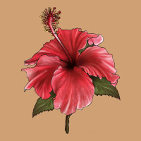 Puerto Rican Hibiscus Flower Illustrations Vintage Tee | Teevron