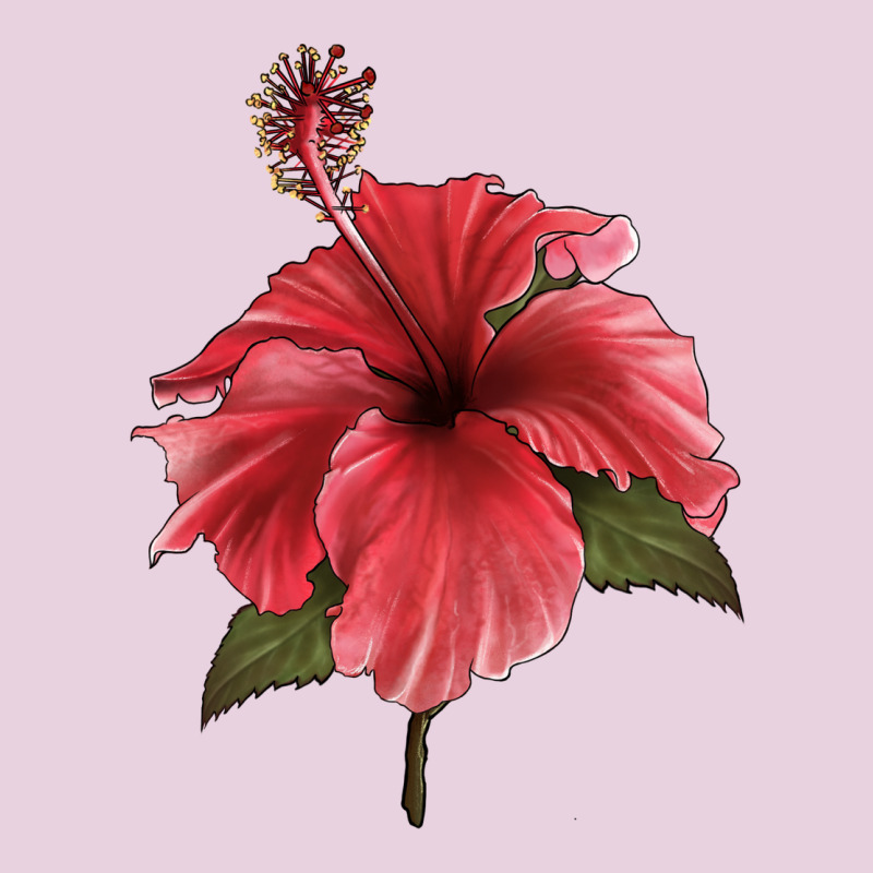 Puerto Rican Hibiscus Flower Illustrations Ladies Tee by LillyAllenDesigns | Teevron