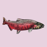 Chinook Salmon Fish Illustrations Ladies Tee | Teevron