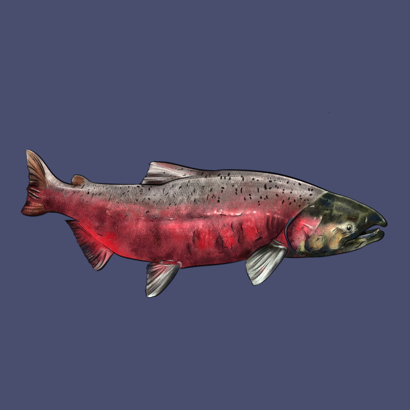 Chinook Salmon Fish Illustrations Vintage Tee by LillyAllenDesigns | Teevron