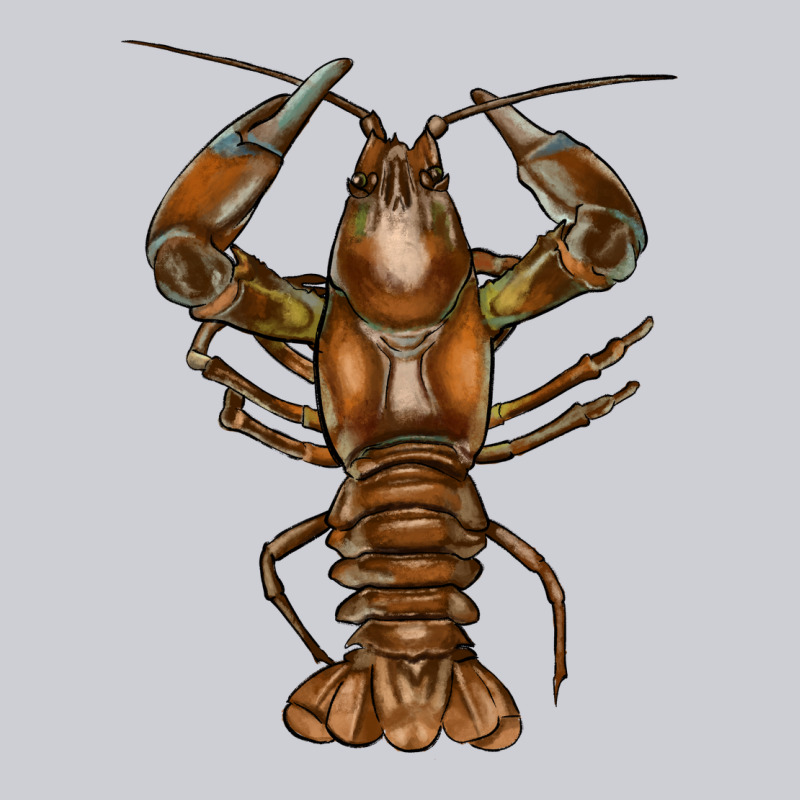Crawfish Classic Tee by FaDigitalArtStudio | Teevron
