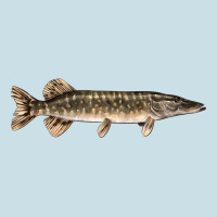 Northern Pike Fish Illustrations Ladies Tee | Teevron