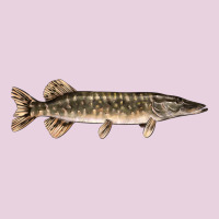 Northern Pike Fish Illustrations Ladies Tee | Teevron