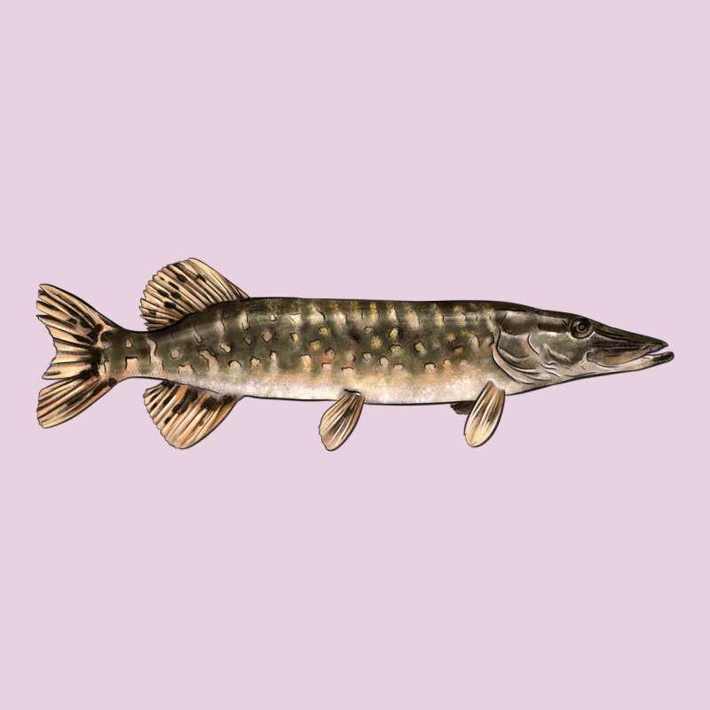 Northern Pike Fish Illustrations Ladies Tee by LillyAllenDesigns | Teevron