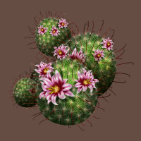 Arizona Fishhook Cacti Long Sleeve Tee | Teevron