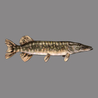 Northern Pike Fish Illustrations Vintage Tee | Teevron