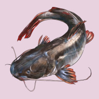 Catfish Illustrations Ladies Tee | Teevron