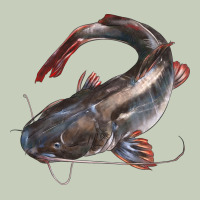 Catfish Illustrations Ladies Tee | Teevron