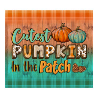 cutest pumpkin in the patch tumbler | Teevron
