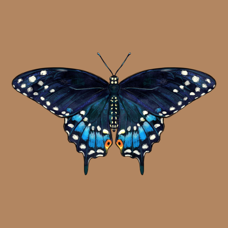 Black Swallowtail Butterfly Long Sleeve Tee by LillyAllenDesigns | Teevron