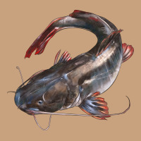 Catfish Illustrations Vintage Tee | Teevron