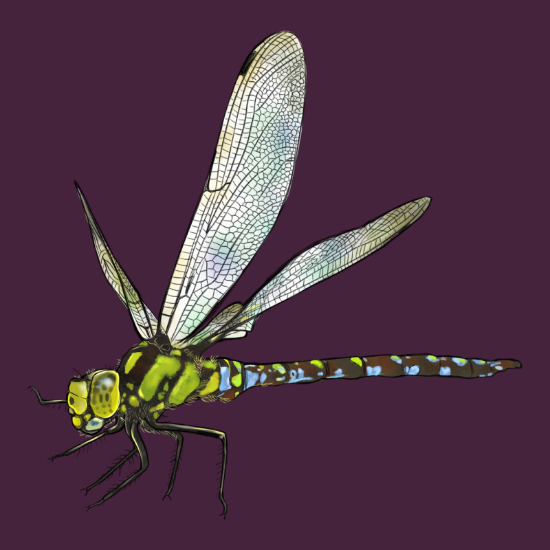 Blue And Yellow Dragonfly Long Sleeve Tee by LillyAllenDesigns | Teevron