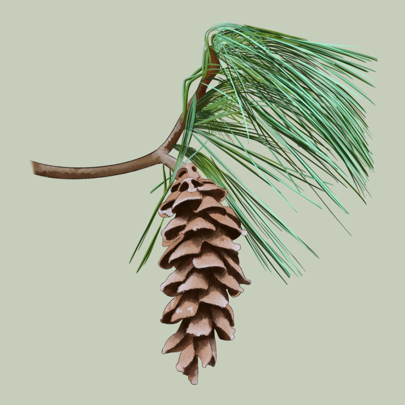 White Pine Cone Ladies Tee by LillyAllenDesigns | Teevron