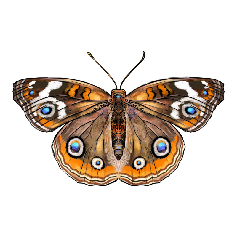 Common Buckeye Butterfly Long Sleeve Tee by LillyAllenDesigns | Teevron
