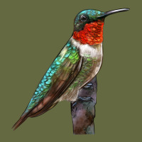 Ruby Throated Hummingbird Bird Long Sleeve Tee | Teevron