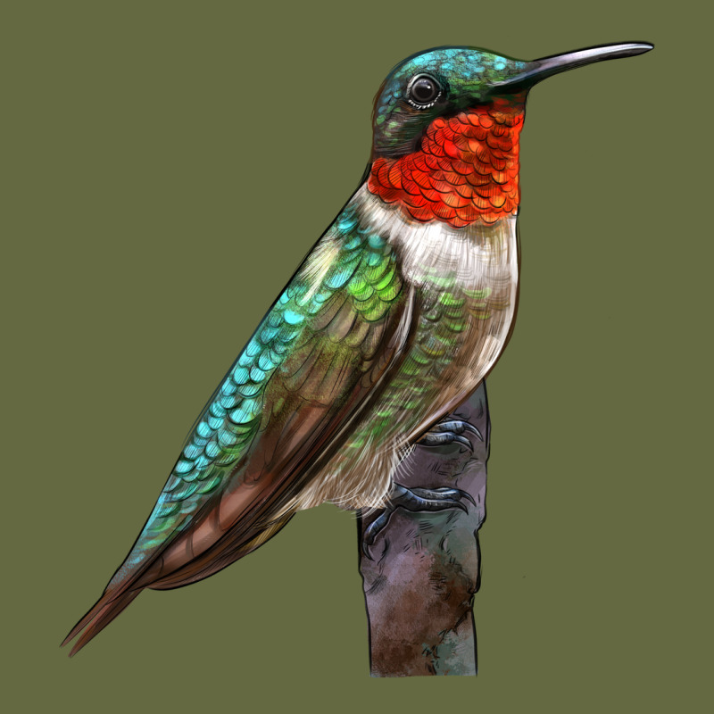 Ruby Throated Hummingbird Bird Long Sleeve Tee by LillyAllenDesigns | Teevron