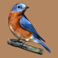 Eastern Bluebird Long Sleeve Tee | Teevron