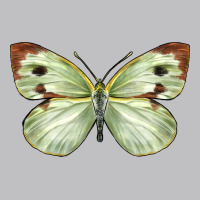Cabbage Butterfly Long Sleeve Tee | Teevron