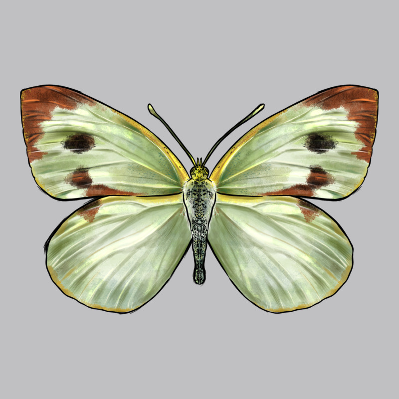 Cabbage Butterfly Long Sleeve Tee by LillyAllenDesigns | Teevron