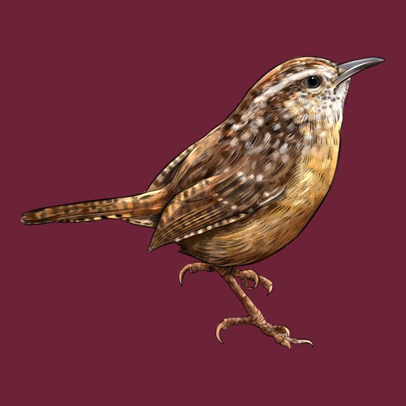 Ccarolina Wren Long Sleeve Tee by LillyAllenDesigns | Teevron