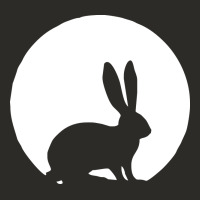 Bunny And Full Moon Funny Heavy Core Tee | Teevron