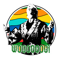 woooo ric flair | Teevron