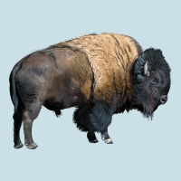 Bison Buffalo Ladies Tee | Teevron