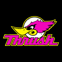 Thrush Heavy Core Tee | Teevron