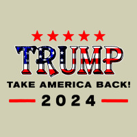Donald Trump 2024 Take America Back Election Heavy Core Tee | Teevron