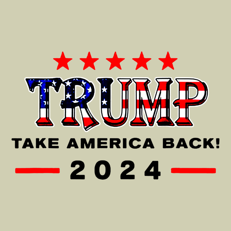 Donald Trump 2024 Take America Back Election Heavy Core Tee by artisFamous | Teevron