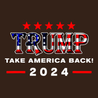 Donald Trump 2024 Take America Back Election Heavy Core Tee | Teevron