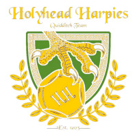 holyhead harpies | Teevron