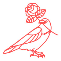 democratic socialists of america | Teevron