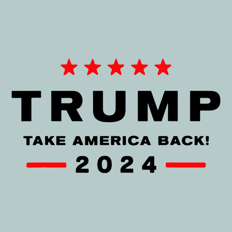 Donald Trump 2024 Take America Heavy Core Tee by artisFamous | Teevron