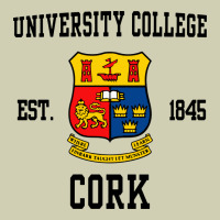 University College Cork Heavy Core Tee | Teevron