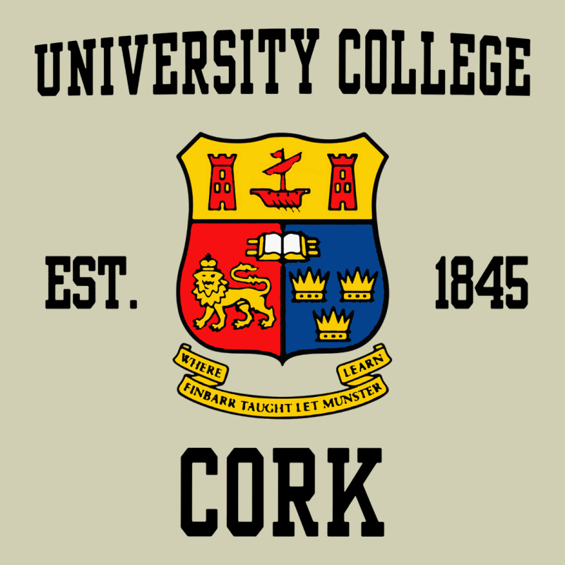University College Cork Heavy Core Tee by artisFamous | Teevron