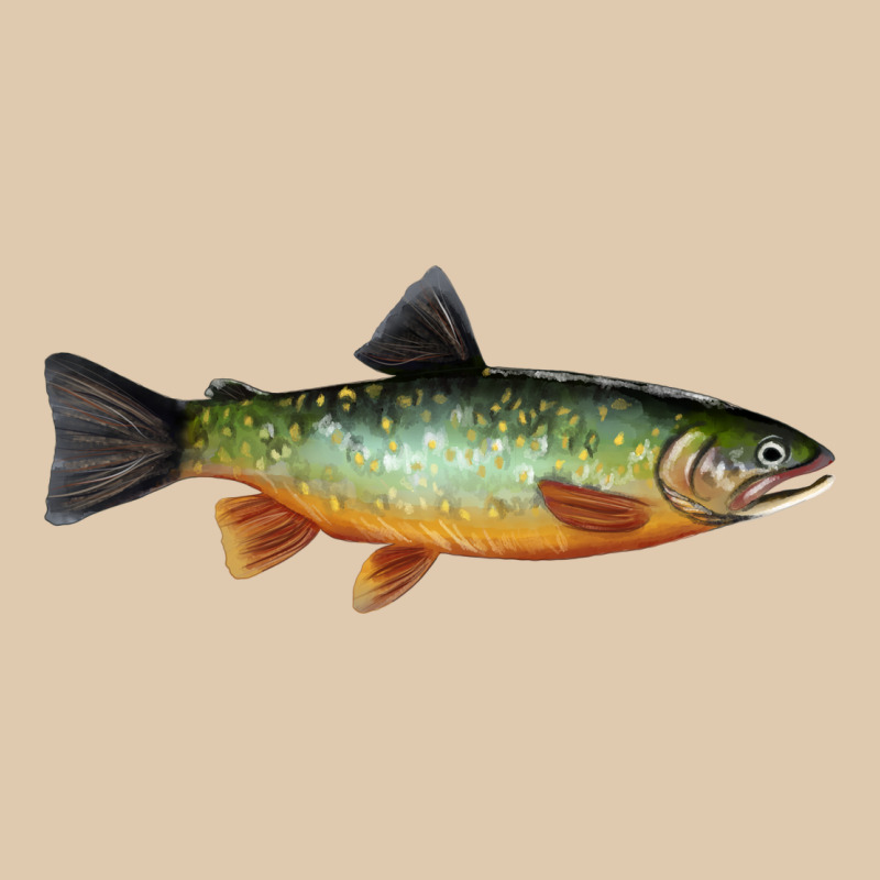 Greenback Cutthroat Trout Fish Heavyweight Sweatshirt by RanaPortraitStore | Teevron