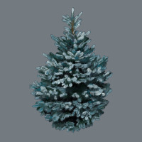 Colorado Blue Spruce Heavyweight Sweatshirt | Teevron