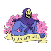 Vintage Skeletor ı am not nice | Teevron