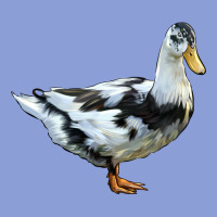 Ancona Duck Long Sleeve Tee | Teevron