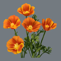 California Poppy Flower Heavyweight Sweatshirt | Teevron