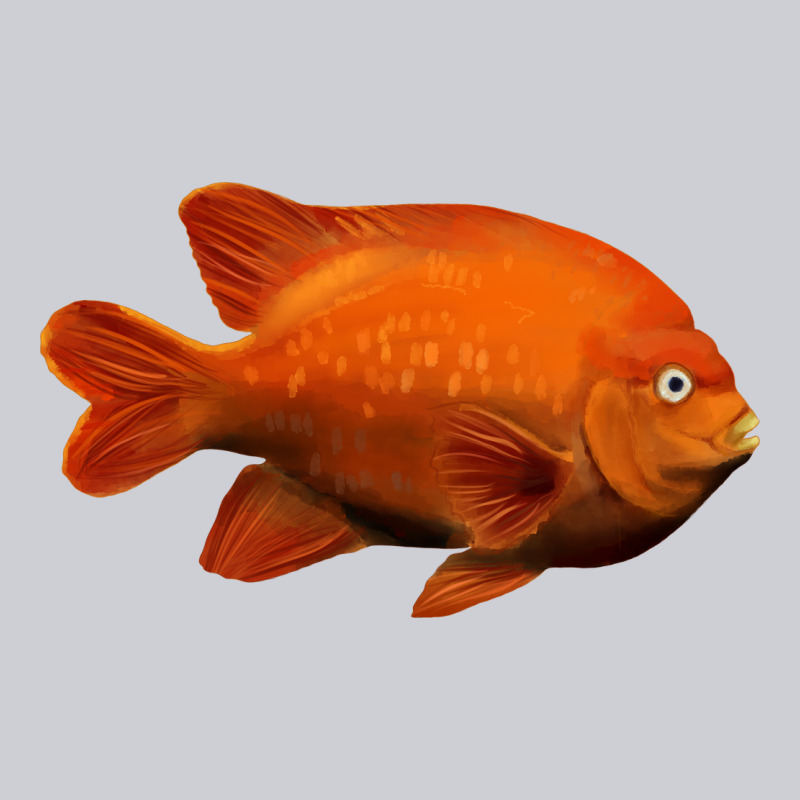 California Garibaldi Fish Heavyweight Sweatshirt by RanaPortraitStore | Teevron