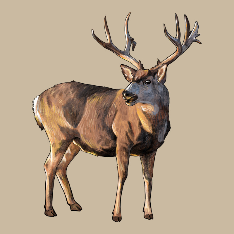 Mule Buck Deer Long Sleeve Tee by LillyAllenDesigns | Teevron